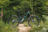 Ibis Ripley V5 Frameset